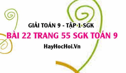 Giải bài 22 trang 55 SGK Toán 9 tập 1